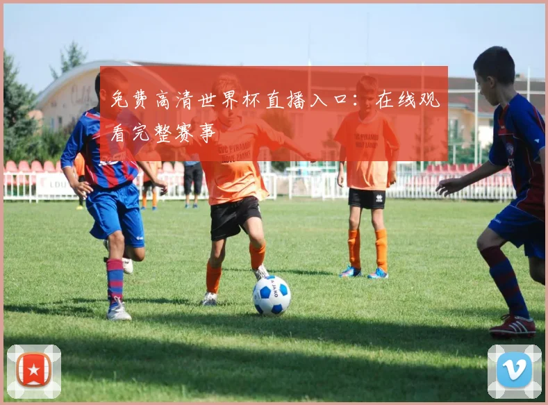 免费高清世界杯直播入口：在线观看完整赛事