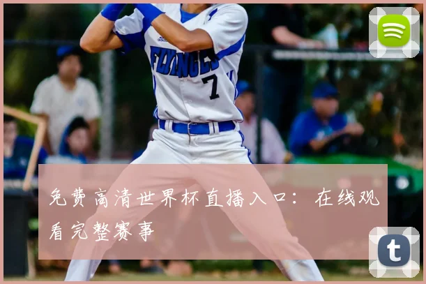 免费高清世界杯直播入口：在线观看完整赛事