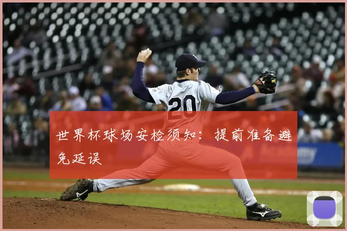 世界杯球场安检须知：提前准备避免延误